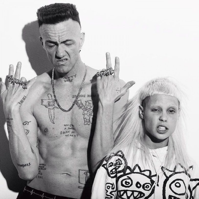 Die Antwoord group