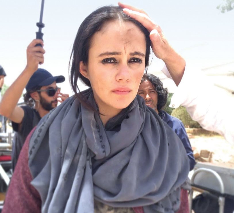 Dina Shihabi modified carbon