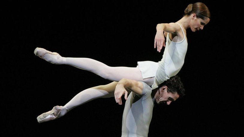 Rosa Darcy Bassell on a stem