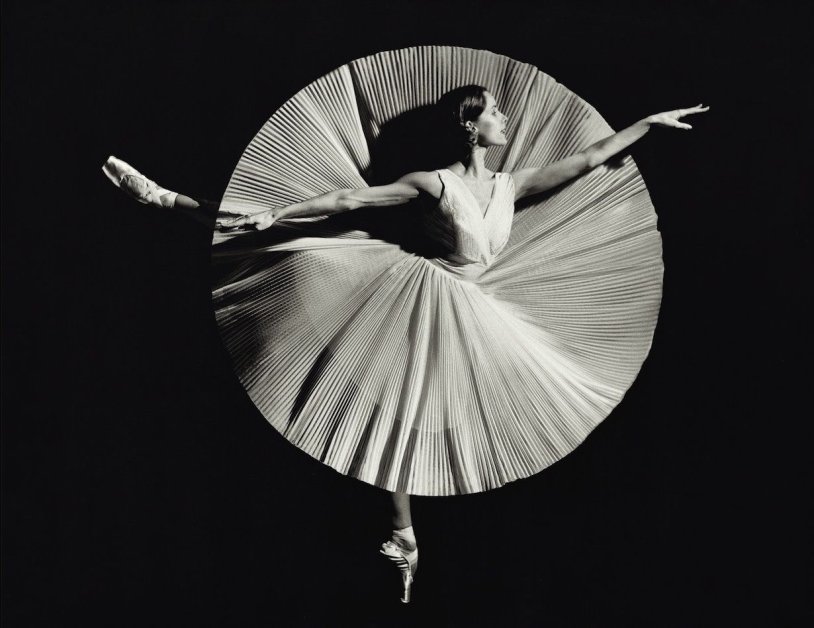 DARCEY BUSSELL