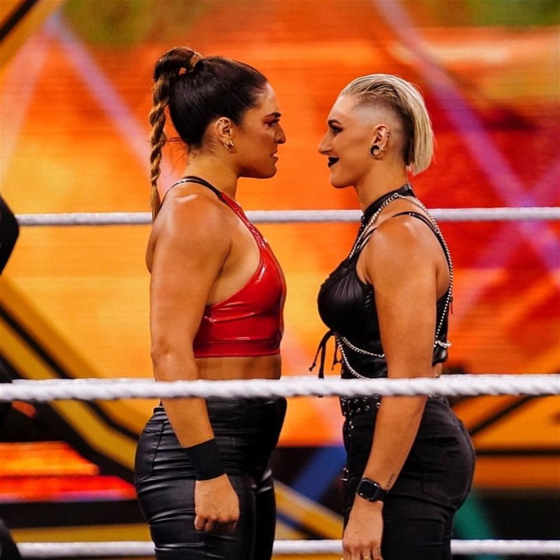 Ray Ripley Fight with Ronda