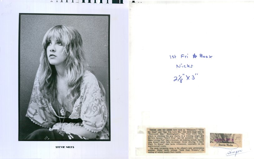 Stevie Nicks Posters
