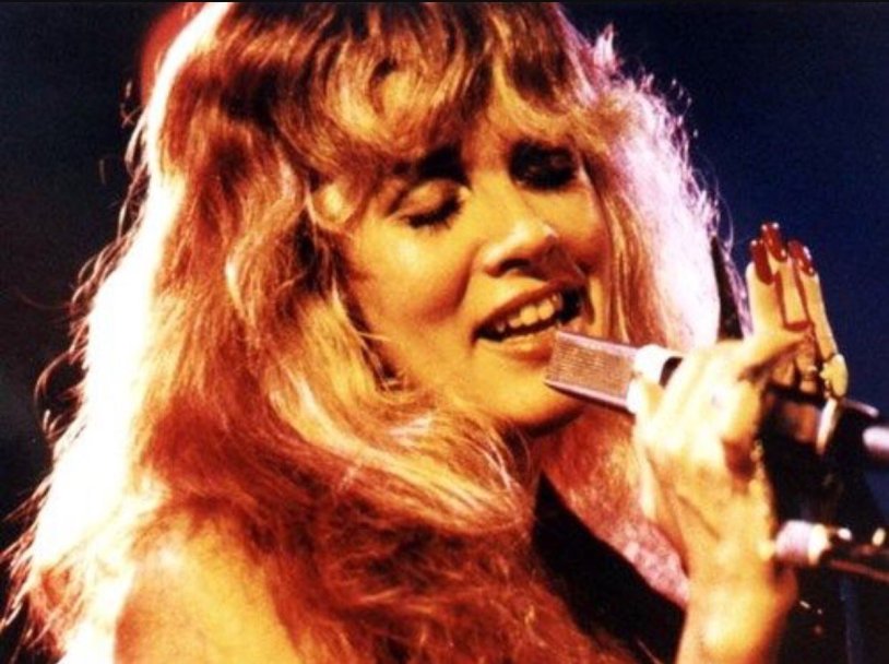 BPW 295x430 shock absorber