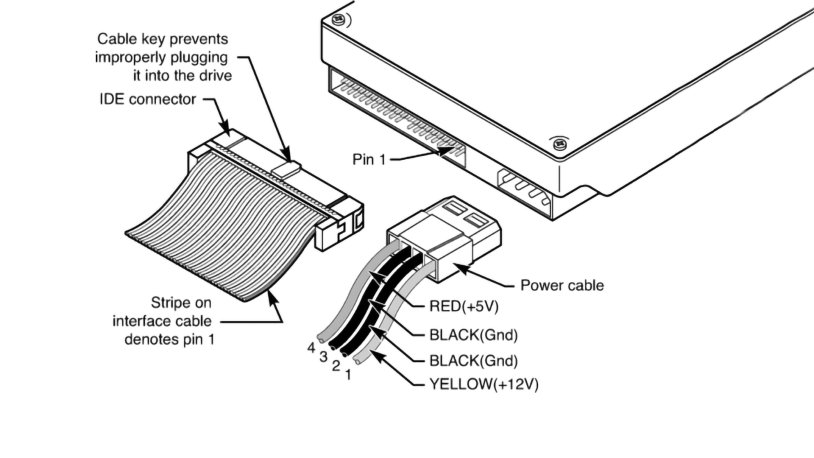 Sata Jones and Lelya Mult