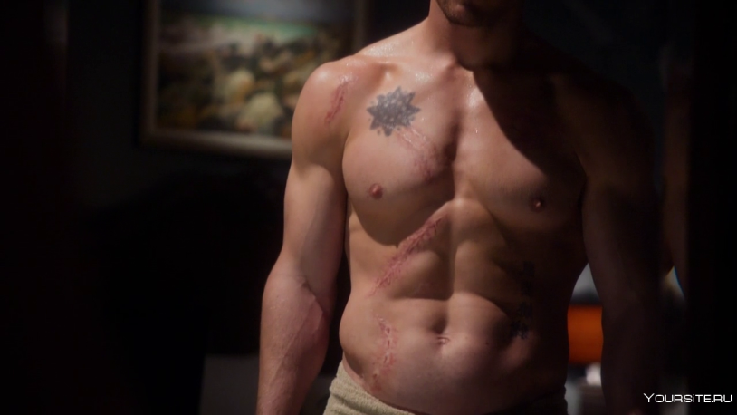 Stephen Amell torso
