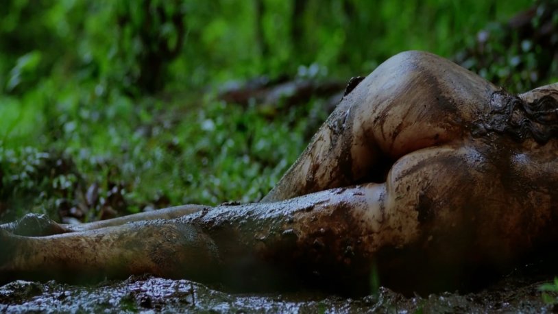 Malika sharavat is hot