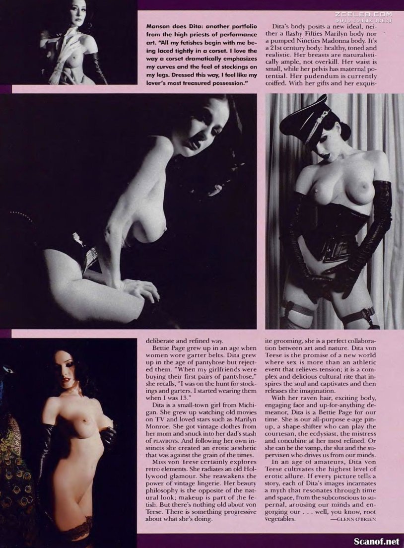 Dita von Tiz in porn films