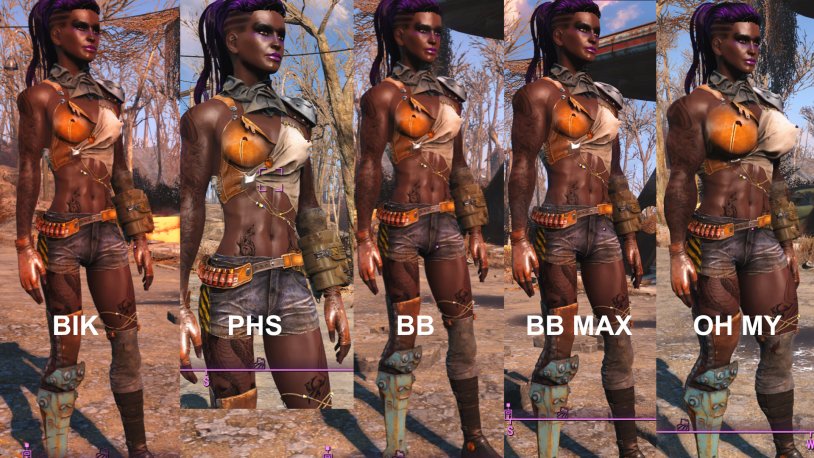 Muscular Body Fallout 4 Walkthrough