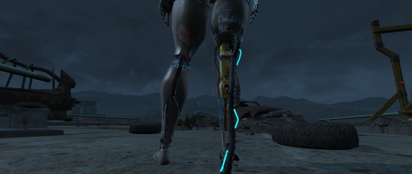 Fallout 4 Hardship Loverslab