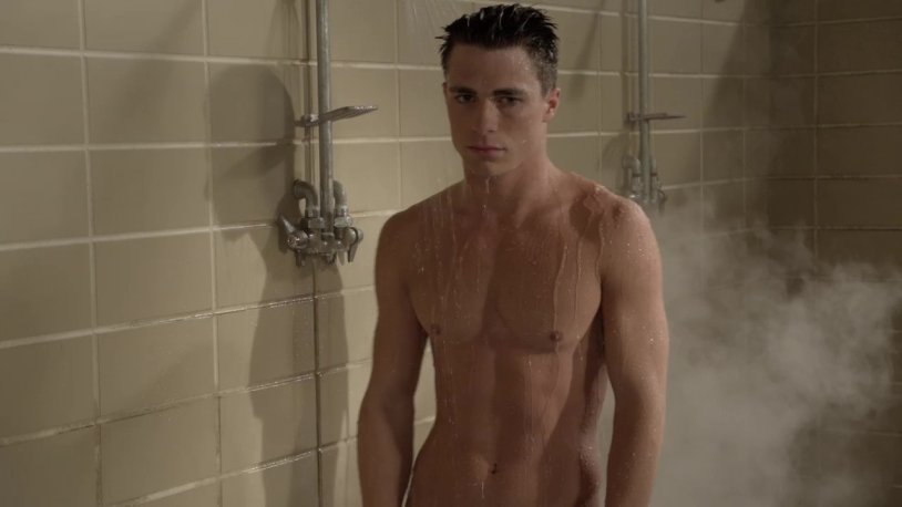 Collon Haynes Torsos