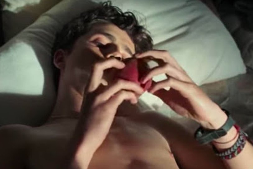 Call me by your name movie scene with peach