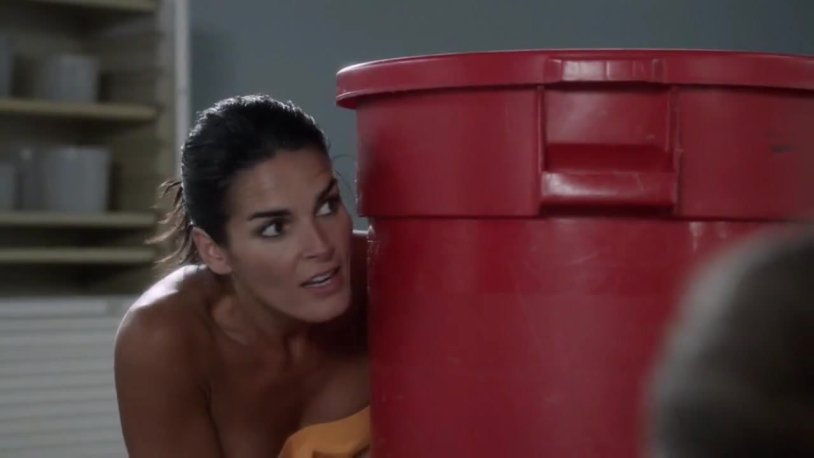 Angie Harmon and Sasha Alexander Nude
