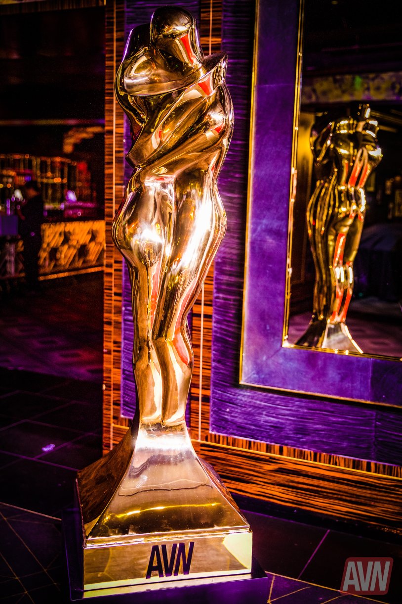 AVN Awards Silicone Tits