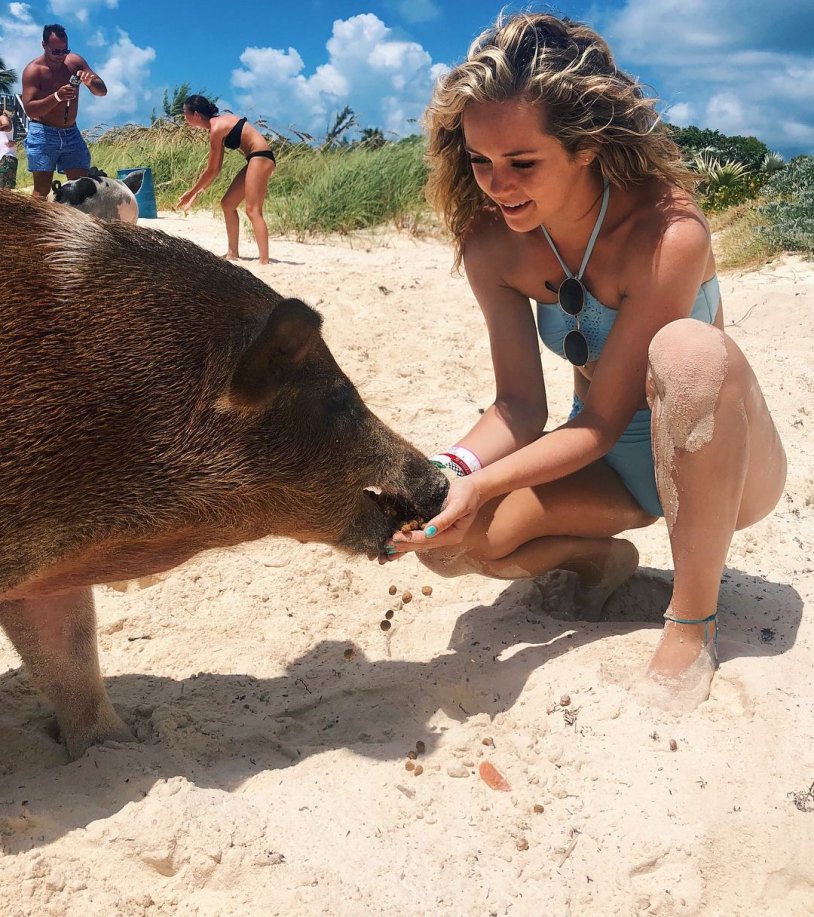 Pig Samui Island