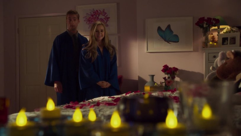 Butterfly morpho Didius