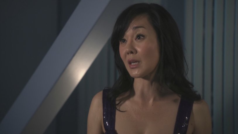 Vanessa Anne Hajens Naked