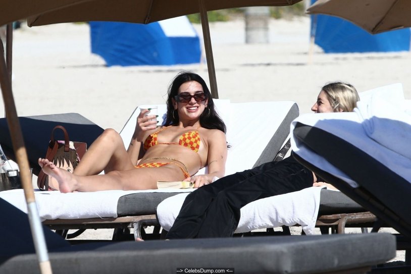 Dua Lipa in underwear