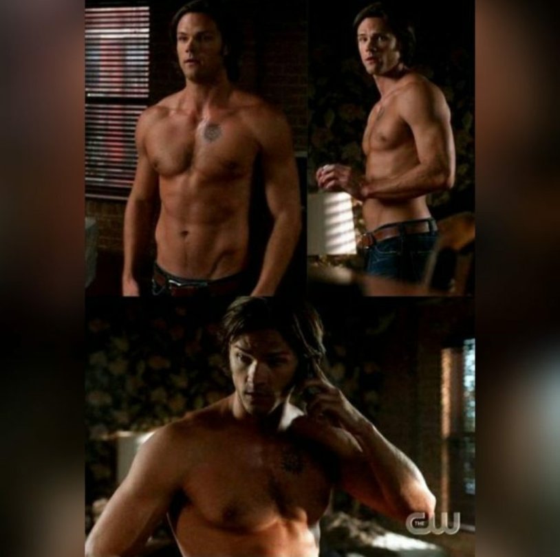 Sam Winchester torso
