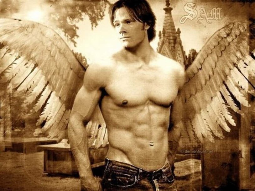 Sam Winchester torso