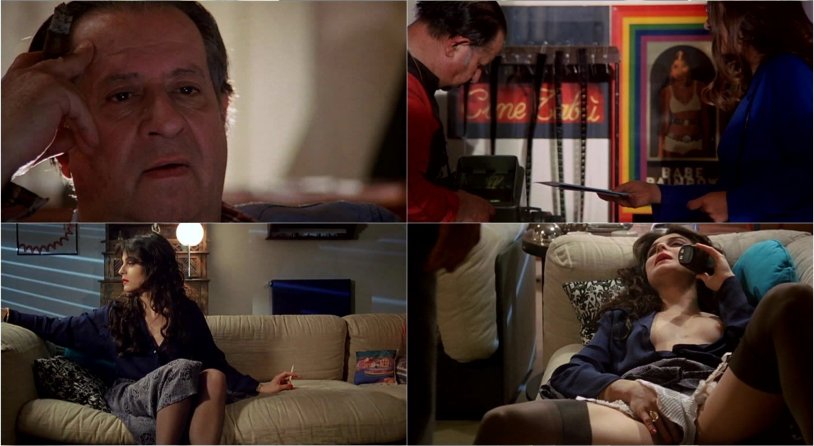 Notes Tinto Brassa 2011