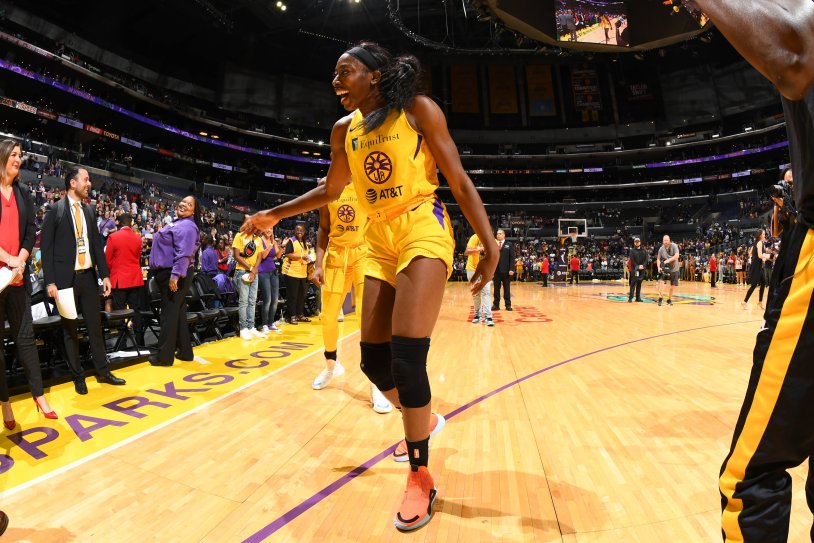 The women s national basketball association