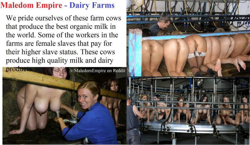 Porn movie Dairy farm
