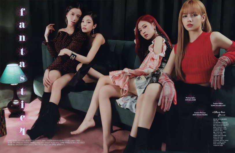 Fox Black Pink Hot