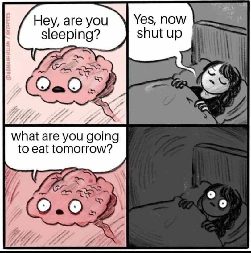 The brain is a meme at night