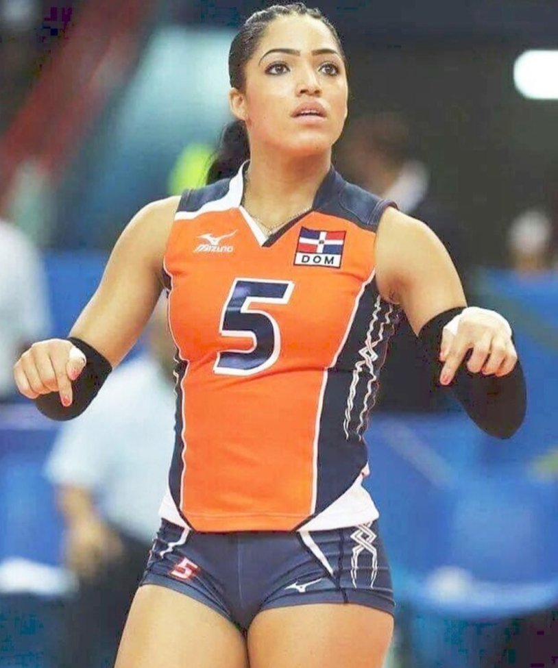 Fernandez Perez volleyball player