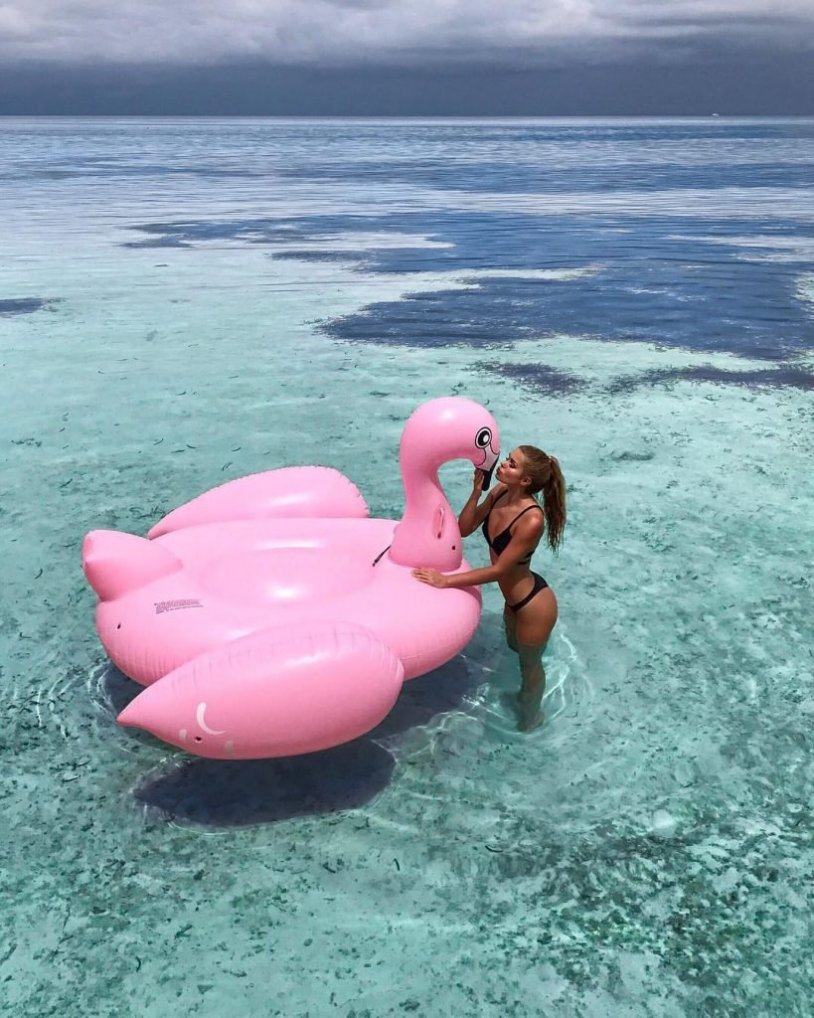 Pamela reif training program