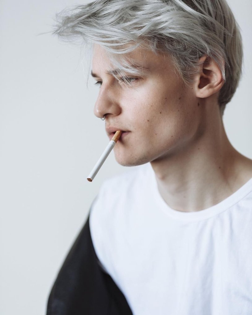 Ivan Vitkauskas model