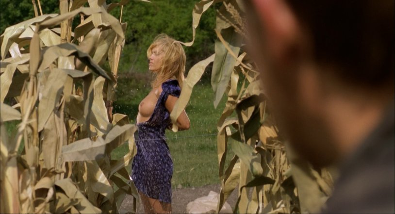 Darcy Fowers are messengers