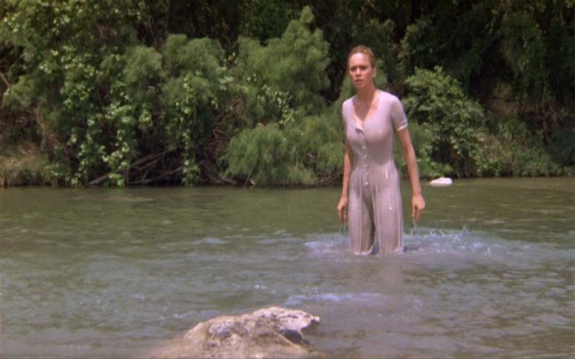 Diane Lane in underwear