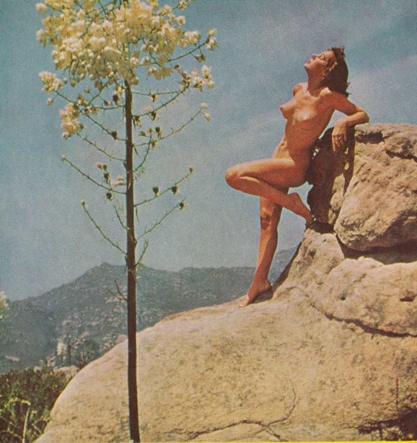 Terry Harrison Playboy