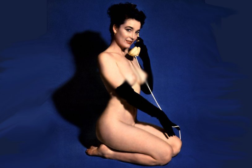 Terry Harrison Playboy