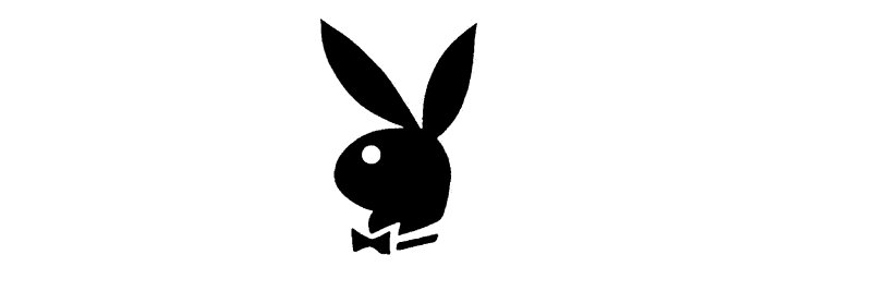Rabbit playboy