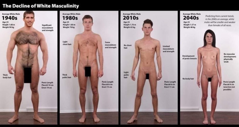 Alpha Male and Beta Nude Comparison