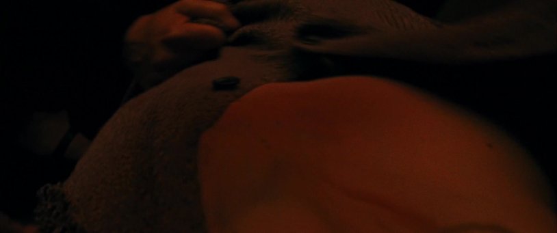 Jennifer Lawrence Nude Pussy