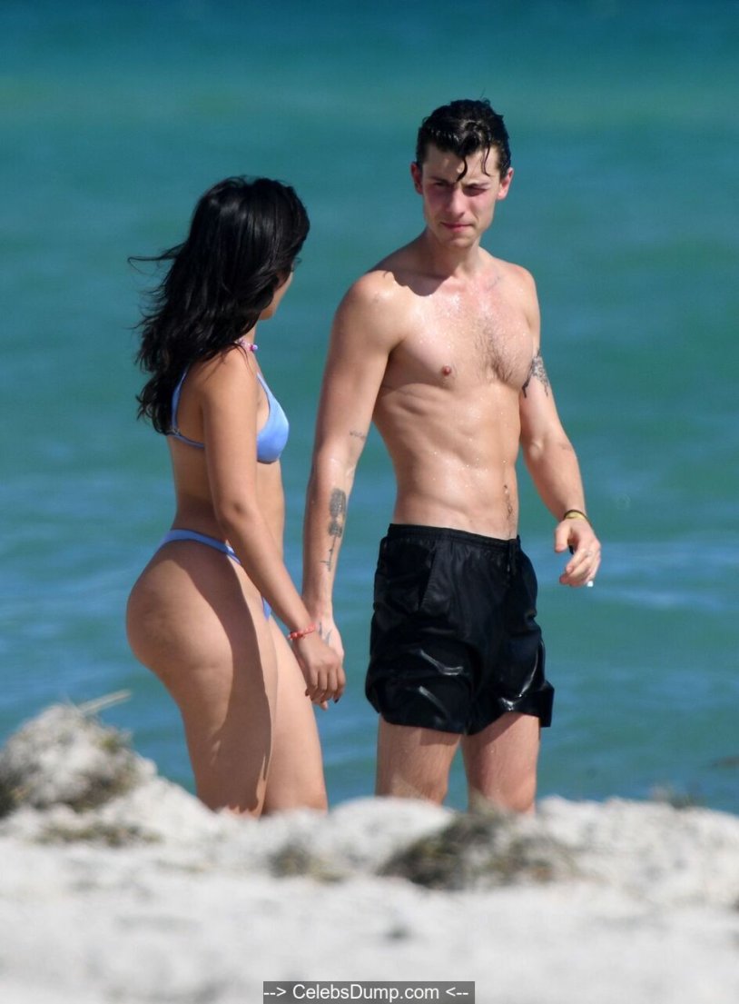 Camila Cabello and Sean Mendes on the beach