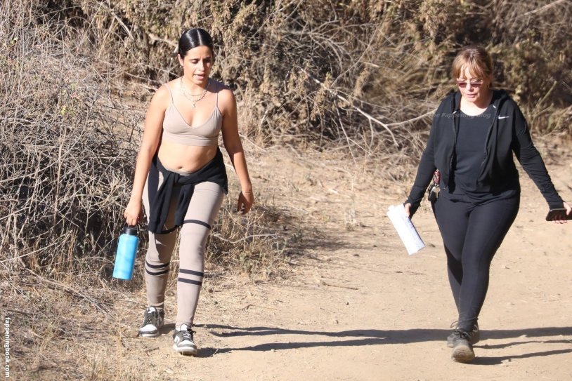 Camila Cabello figure