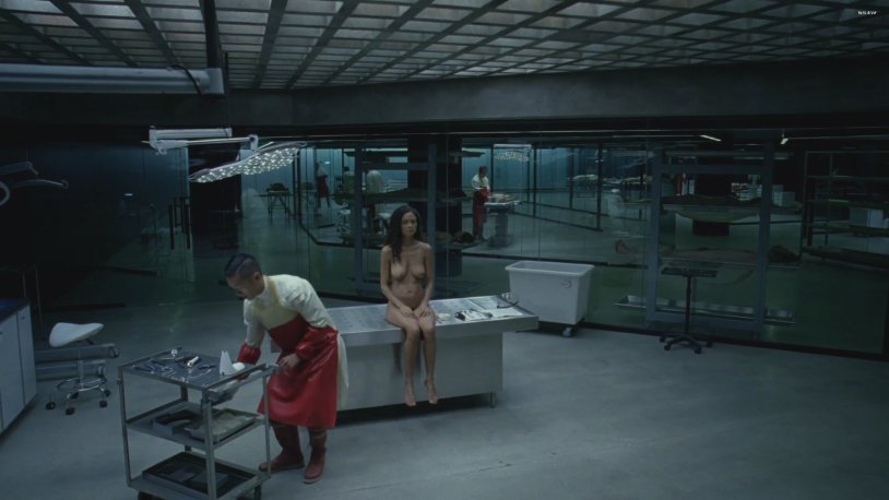 Tandy Newton Naked World of Wild