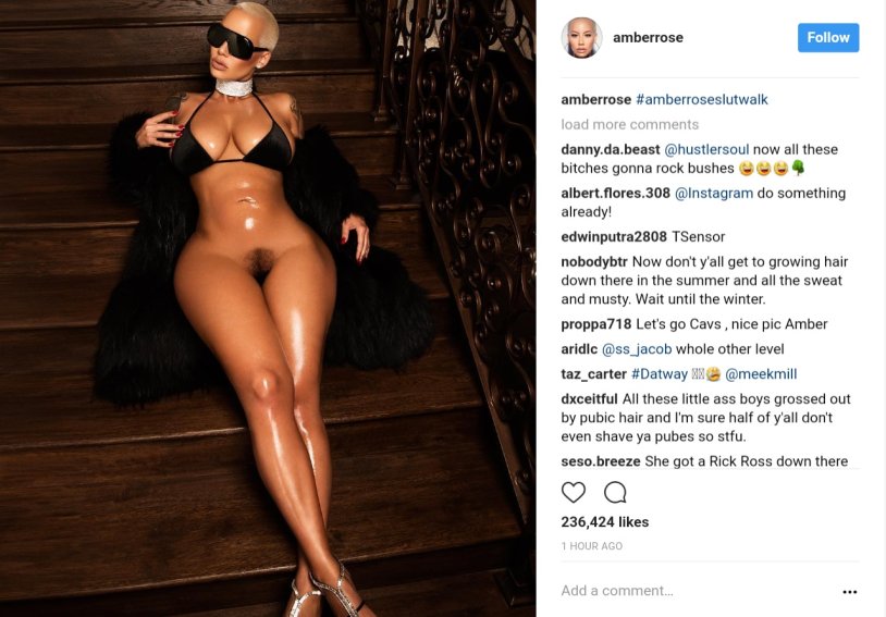 Amber Rose pornography