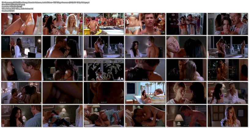 Wildness 4 Marne Patterson