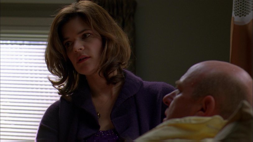 Breaking Bad Nude Skyler White