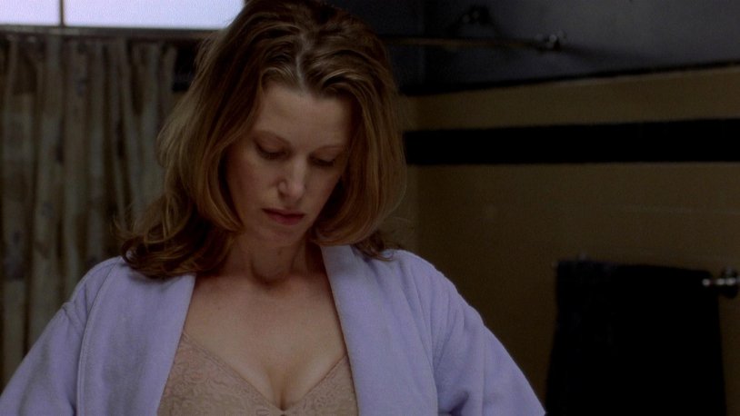 Skyler White is hot
