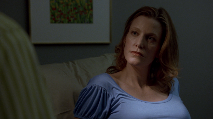 Breaking Bad Nude Skyler White