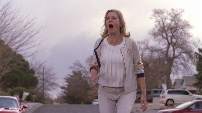 Breaking Bad Nude Skyler White