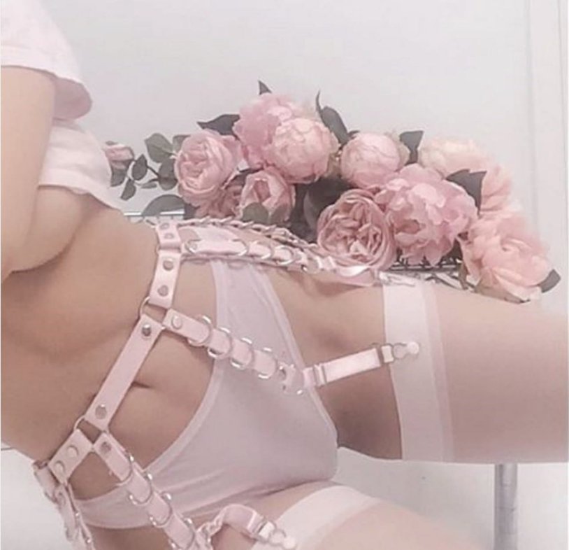Pink underwear of aesthetics