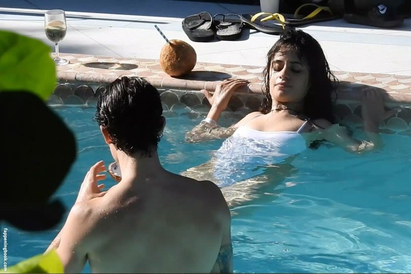 Camila Cabello Nipple Photo