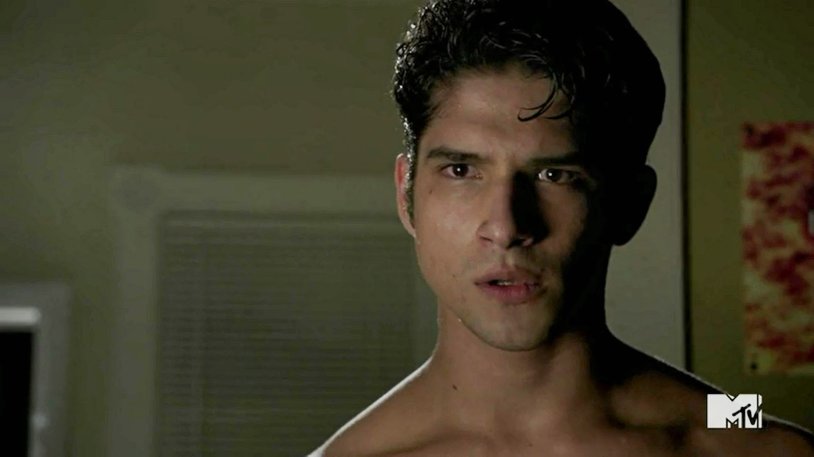 The logo of the series Wolf